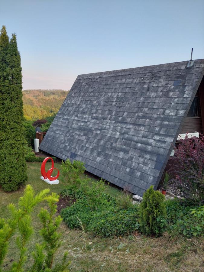 Haus Am See Willingen Віллінген Екстер'єр фото
