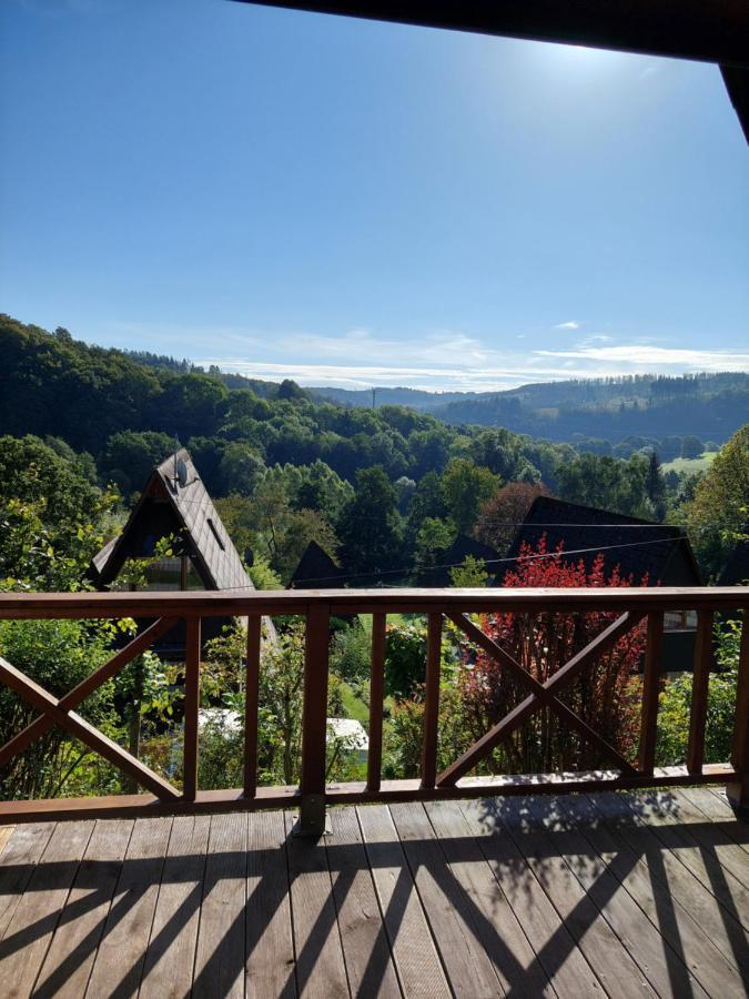 Haus Am See Willingen Віллінген Екстер'єр фото