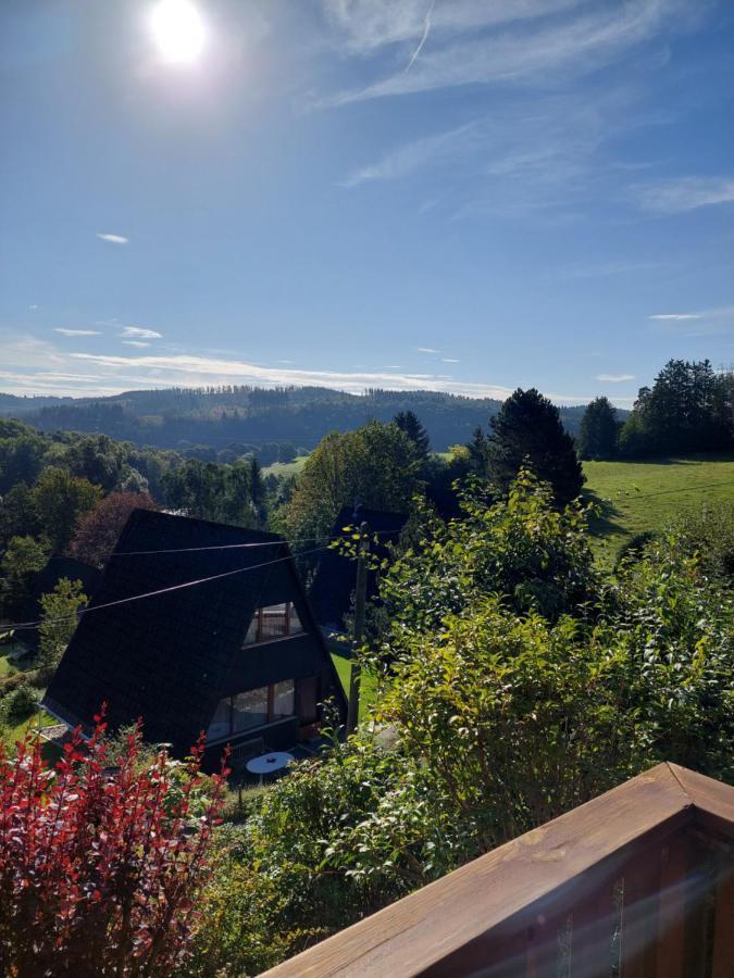 Haus Am See Willingen Віллінген Екстер'єр фото