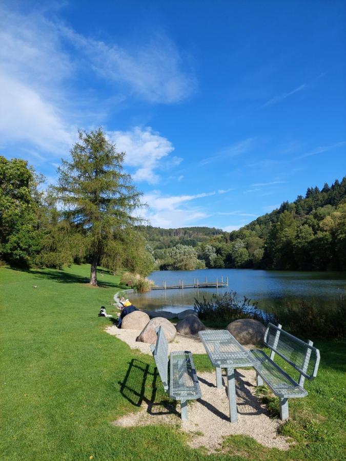 Haus Am See Willingen Віллінген Екстер'єр фото