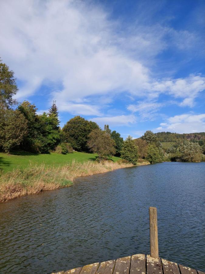 Haus Am See Willingen Віллінген Екстер'єр фото