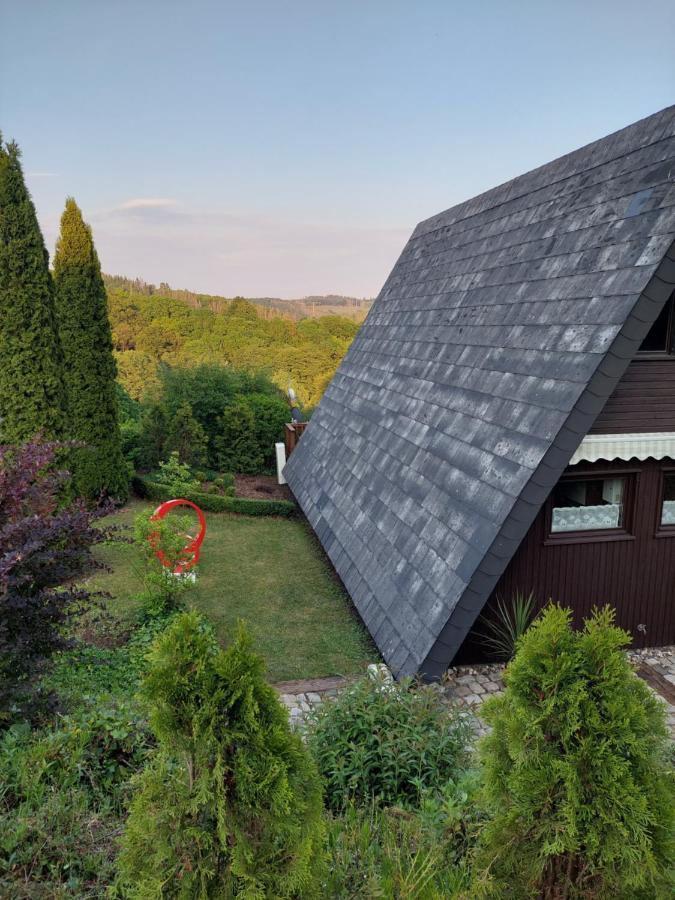 Haus Am See Willingen Віллінген Екстер'єр фото